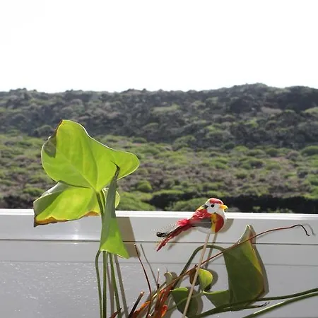 Apartament Descansar